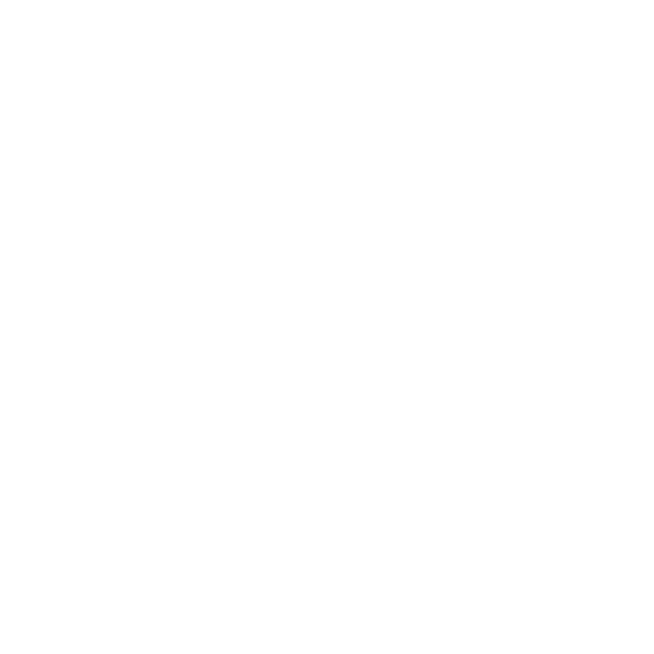 lr-icon